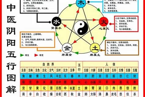 本命五行|五行查询